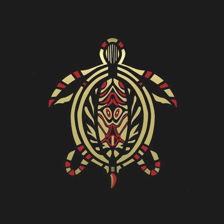 Native American turtle symbol representing Mother Earth