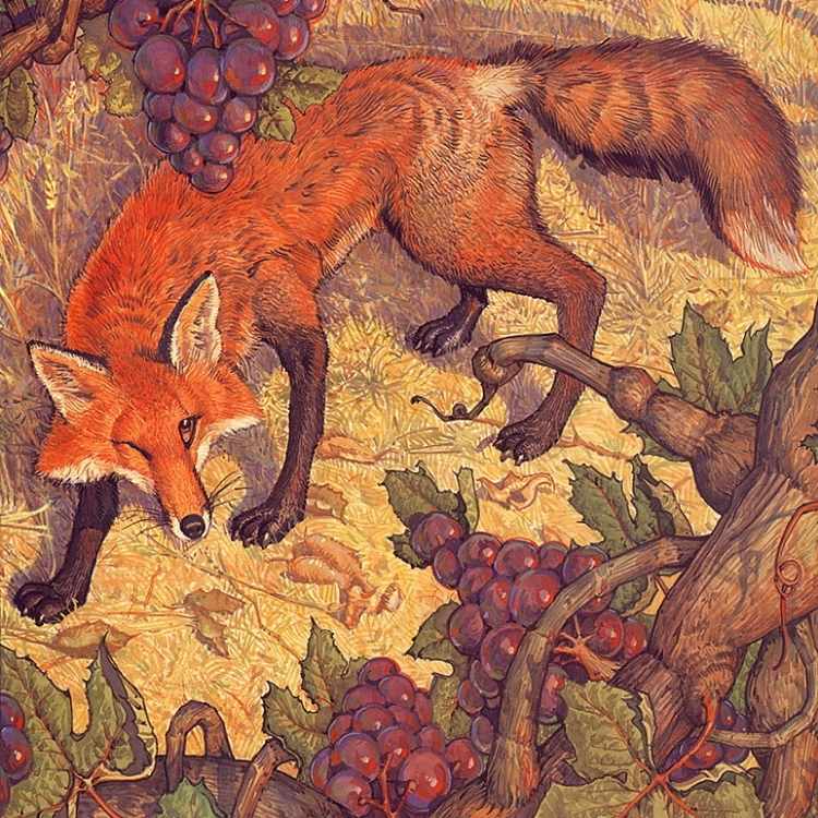 fox and grapes