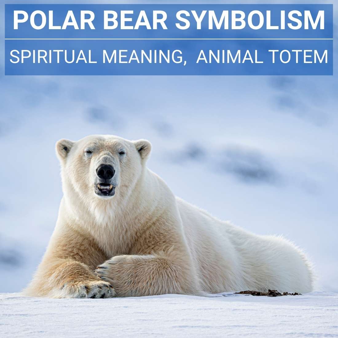 Polar Bear Symbolism