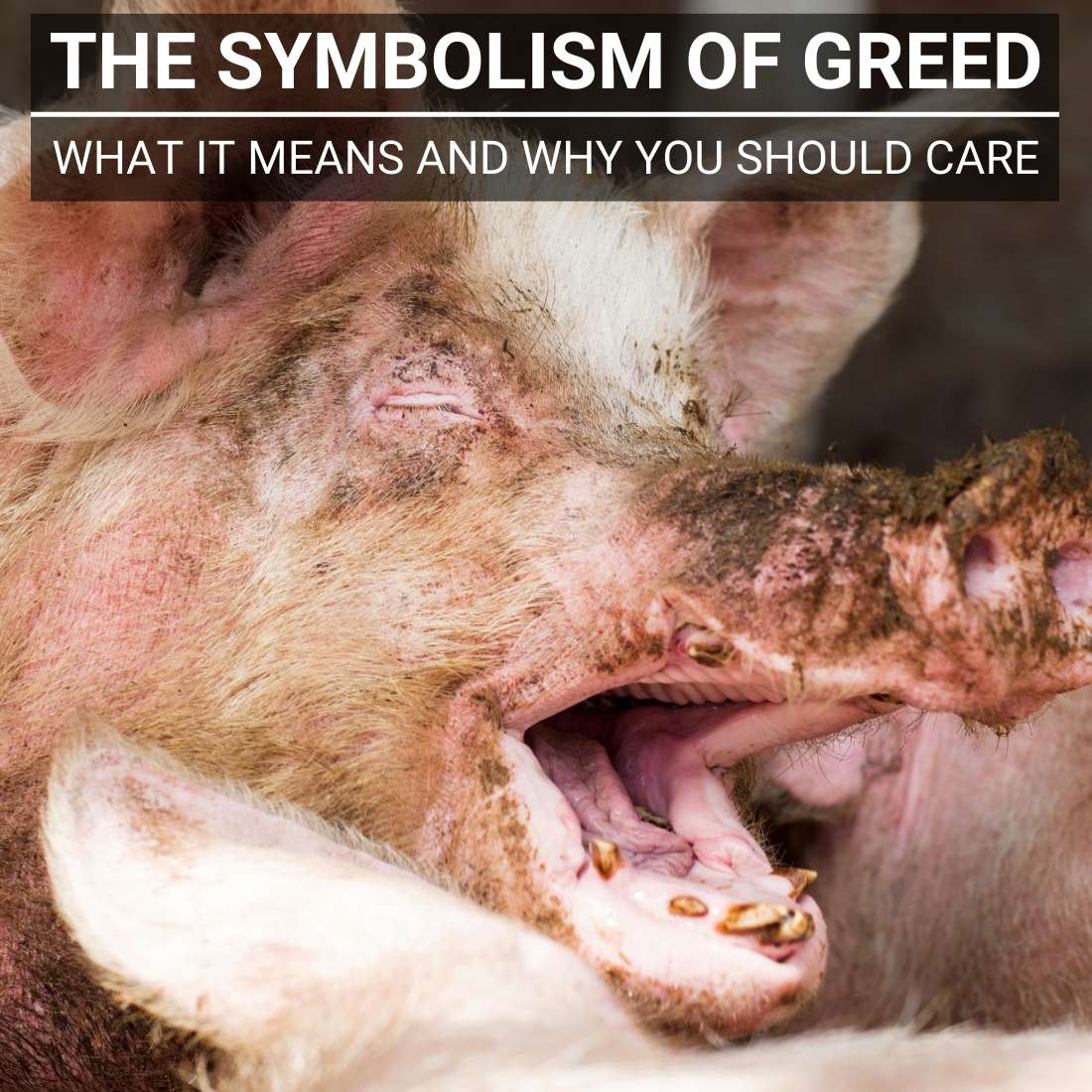 Symbolism of Greed