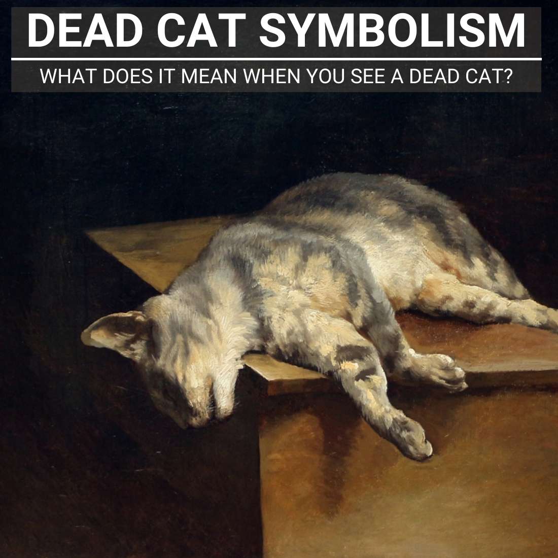dead cat symbolism