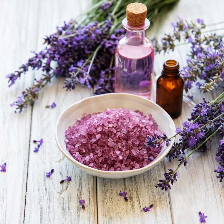 lavender uses