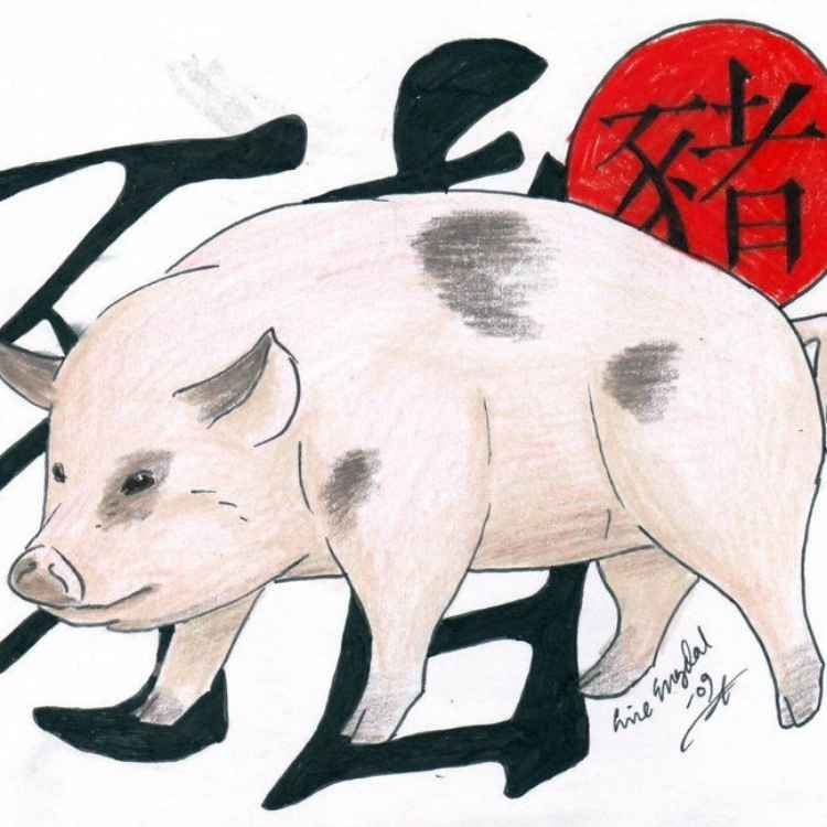  pig in Asian cultures