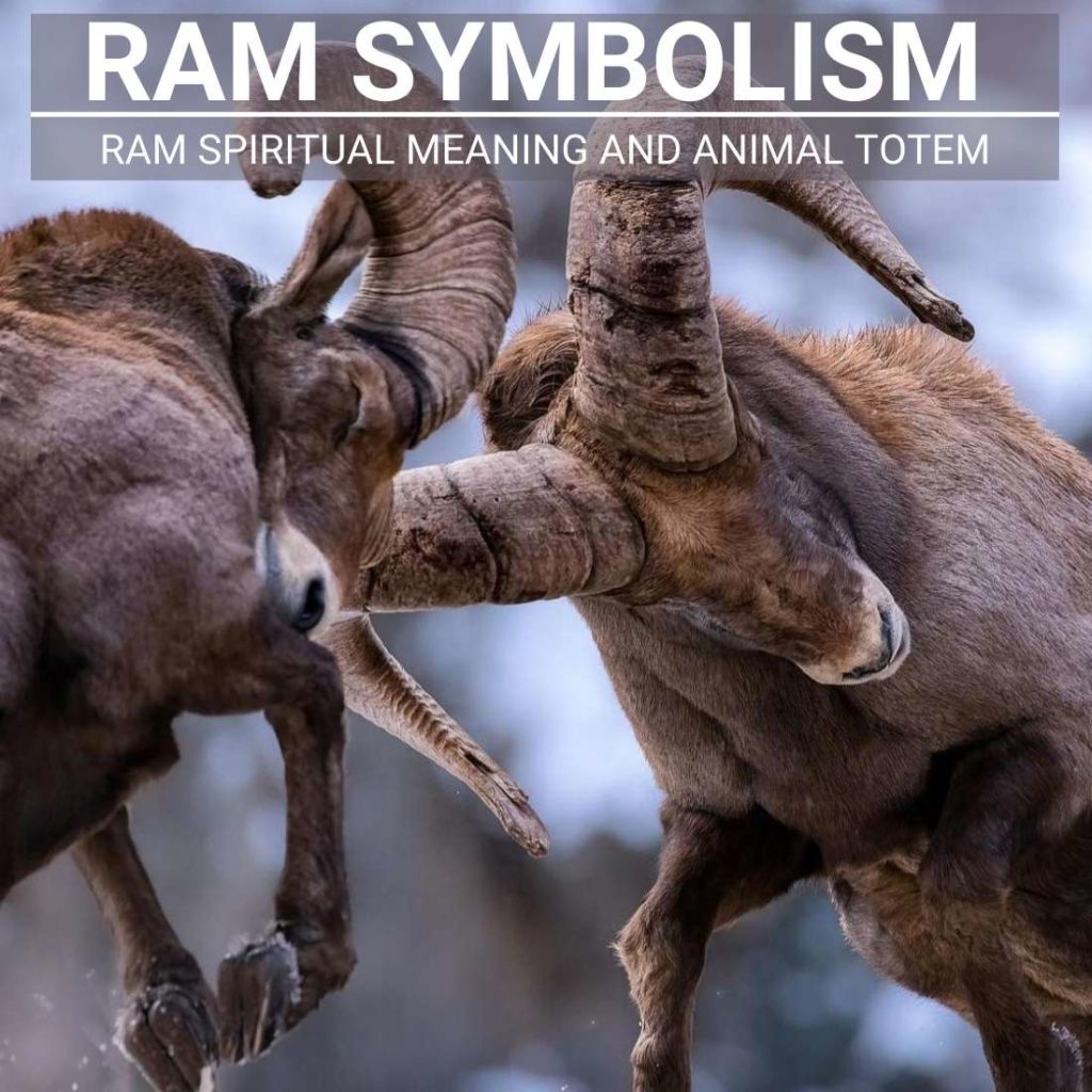 Ram Symbolism