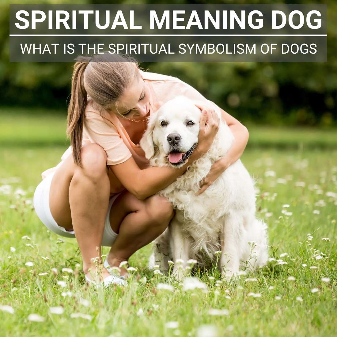 spiritual meaning dog
