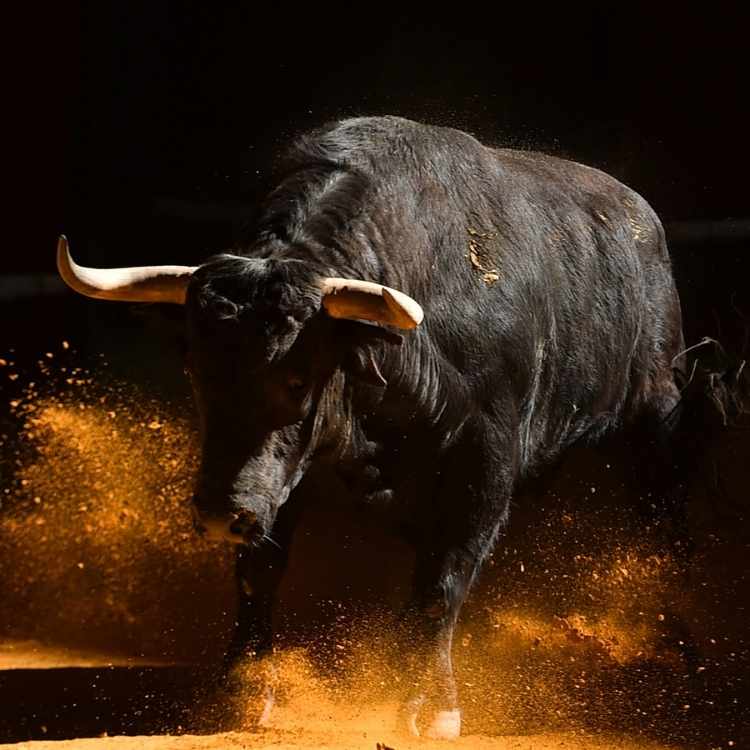what do Bulls symbolize2 The Bull Is A Totem Of Strength, Power, And Tenacity