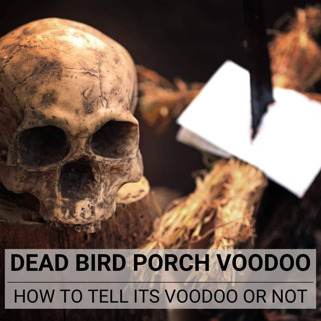 Dead Bird Porch Voodoo