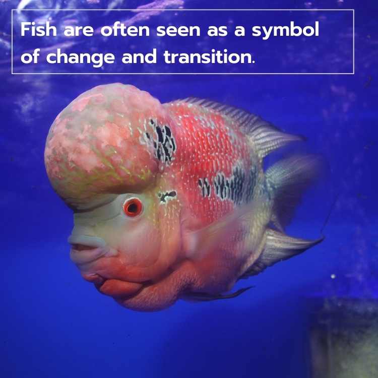 Fish symbol of change and transition