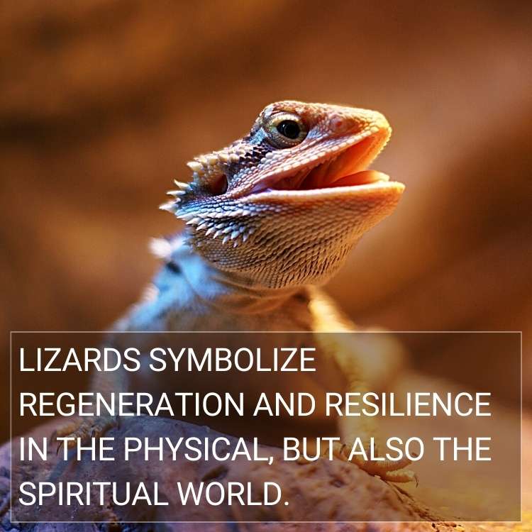 Lizards symbolize regeneration