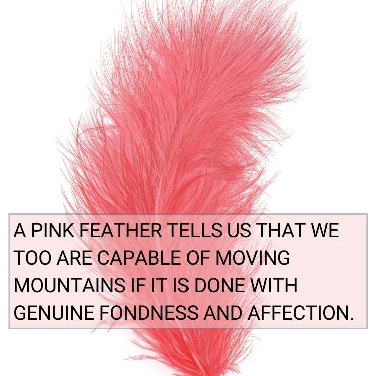 Pink Feather moving mountains