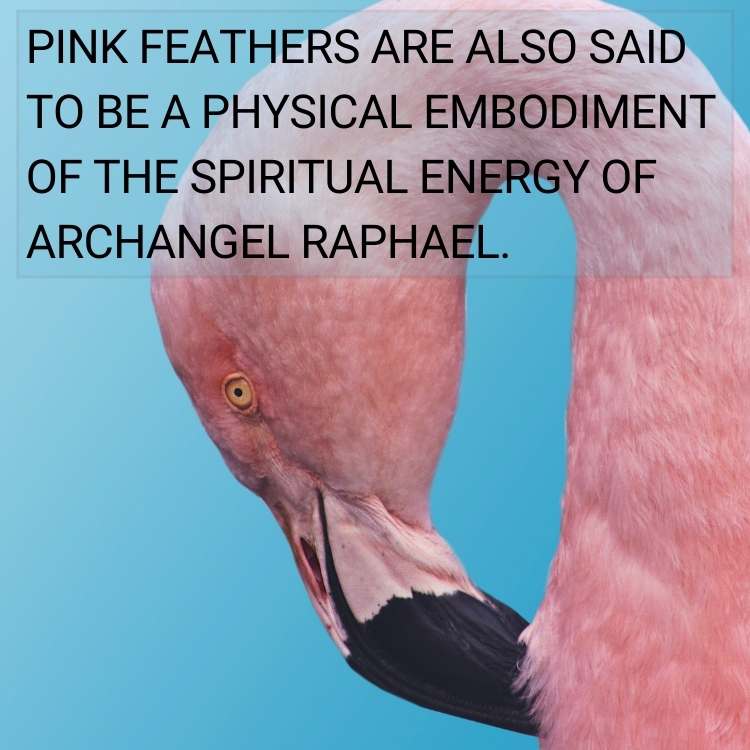 Pink feathers Archangel Raphael
