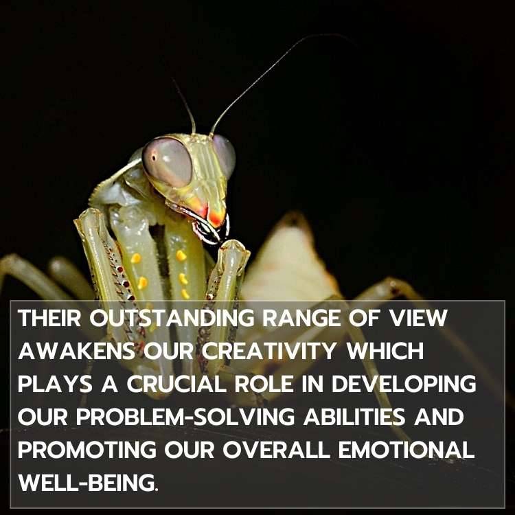 Praying mantis problem solving