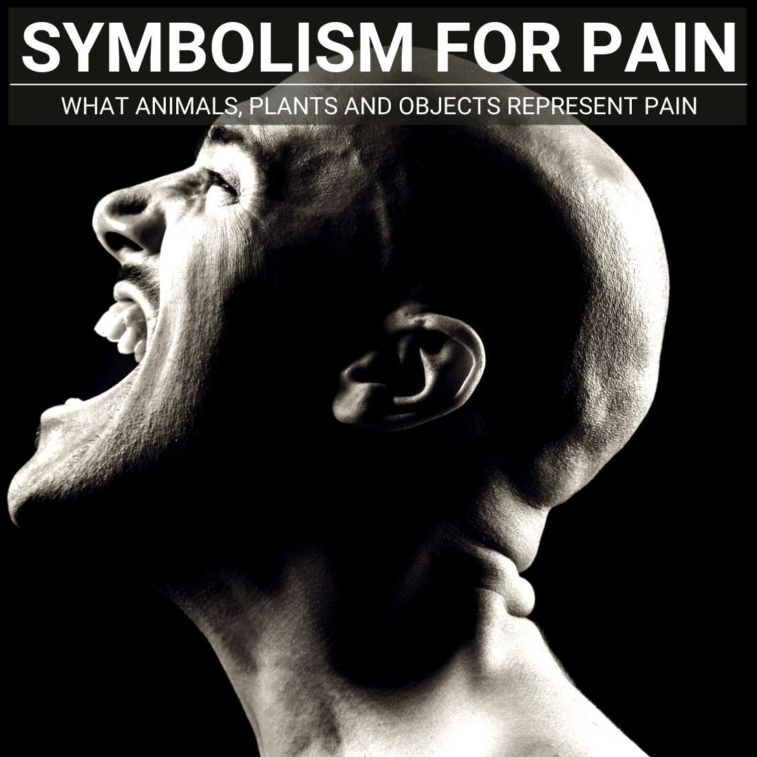 Symbolism For pain
