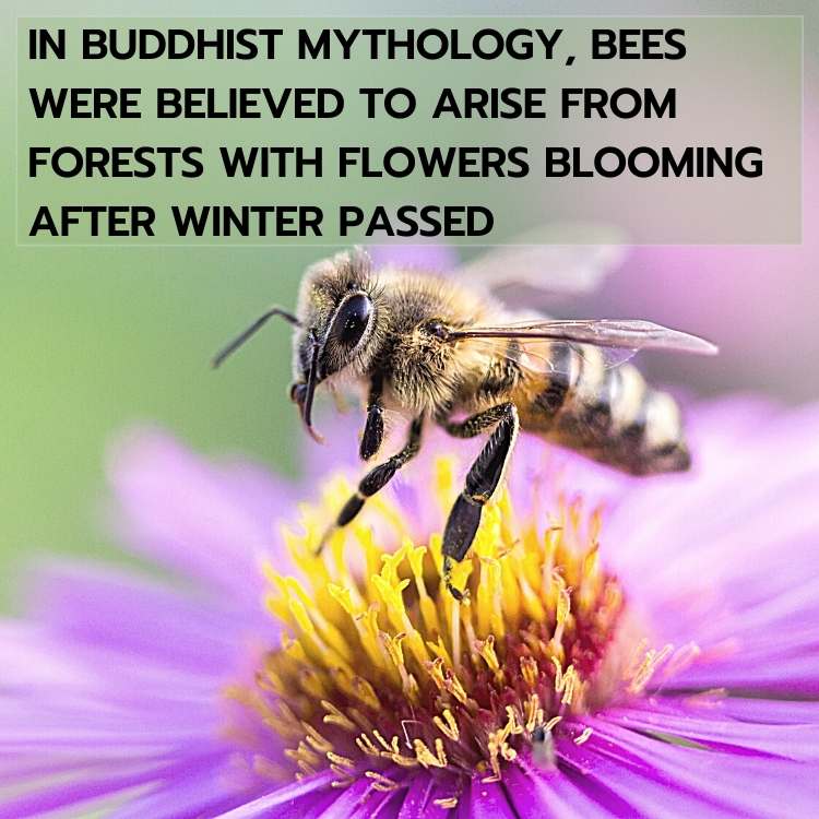 bee buddhist belief