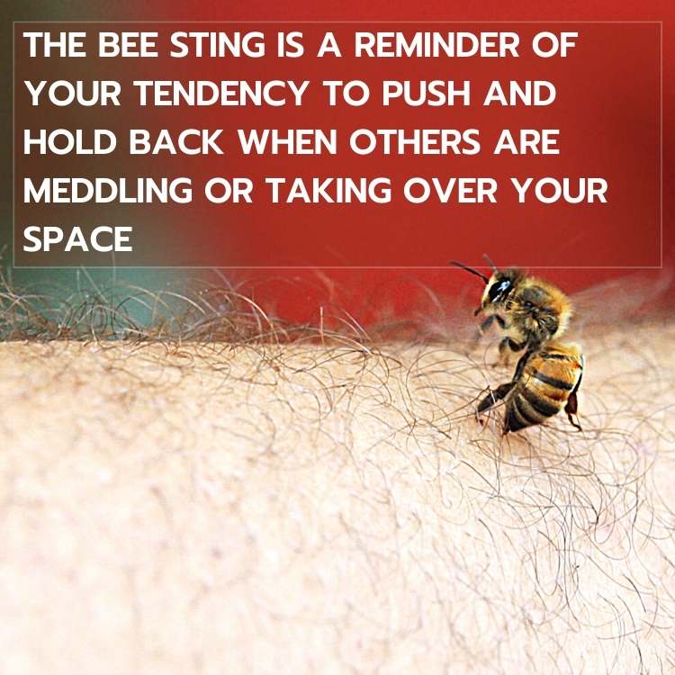 bee sting is reminder