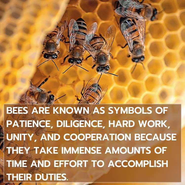 bee symbol patience