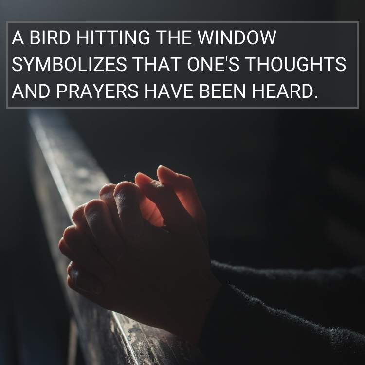bird hitting window prayers