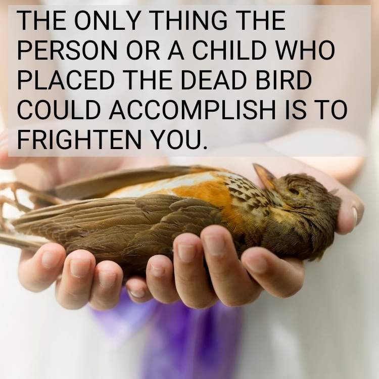 dead bird frighten you The Truth About Voodoo and Dead Birds on Your Porch: The Negative Impact on Your Life