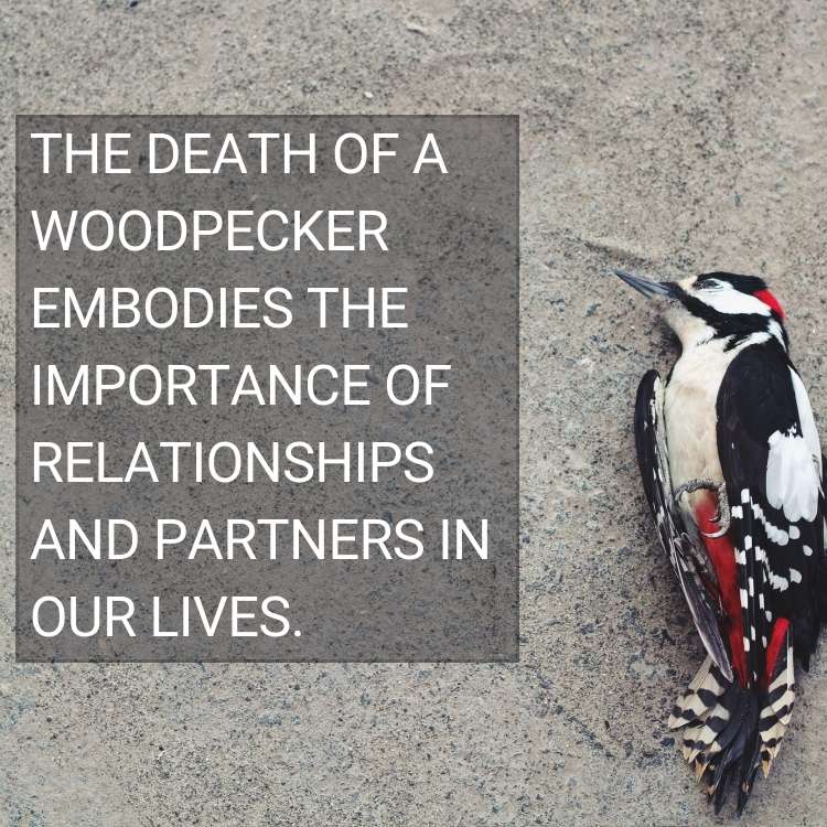 dead woodpecker symbolism relationship