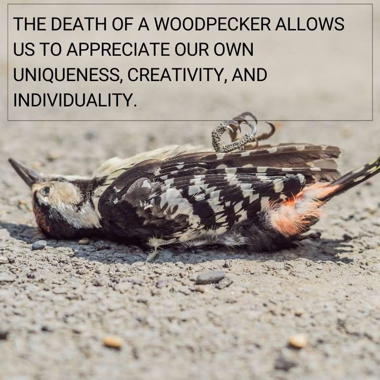 death of woodpecker