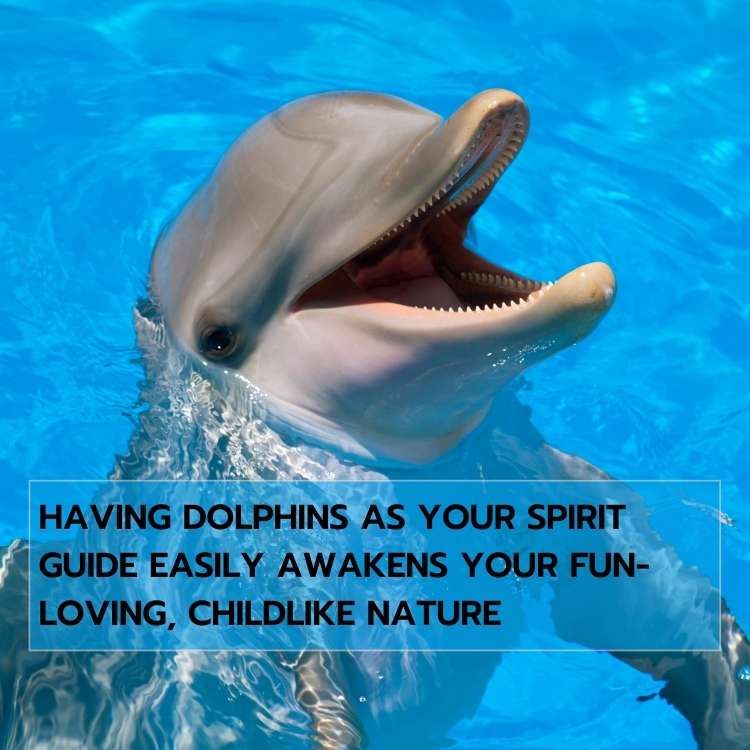 dolphins spirit guide 1 Fish Symbolism (+Animal Totem/Spirit Animal): What They Mean for You?