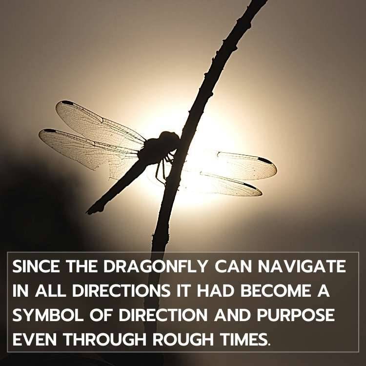 dragonfly symbol of direction