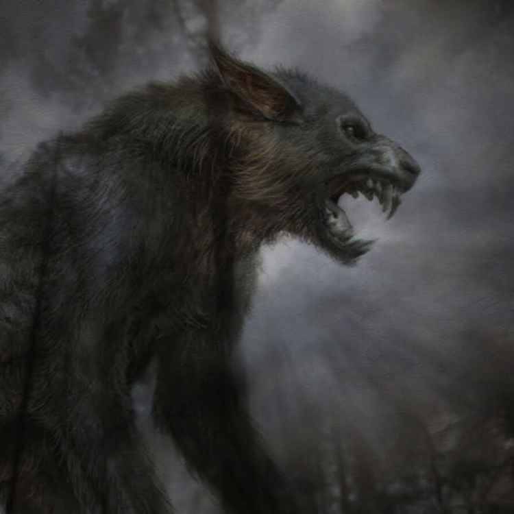 evil wolf