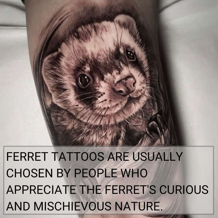 ferret tattoo meaning