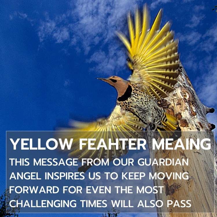 finding yellow feather meaning