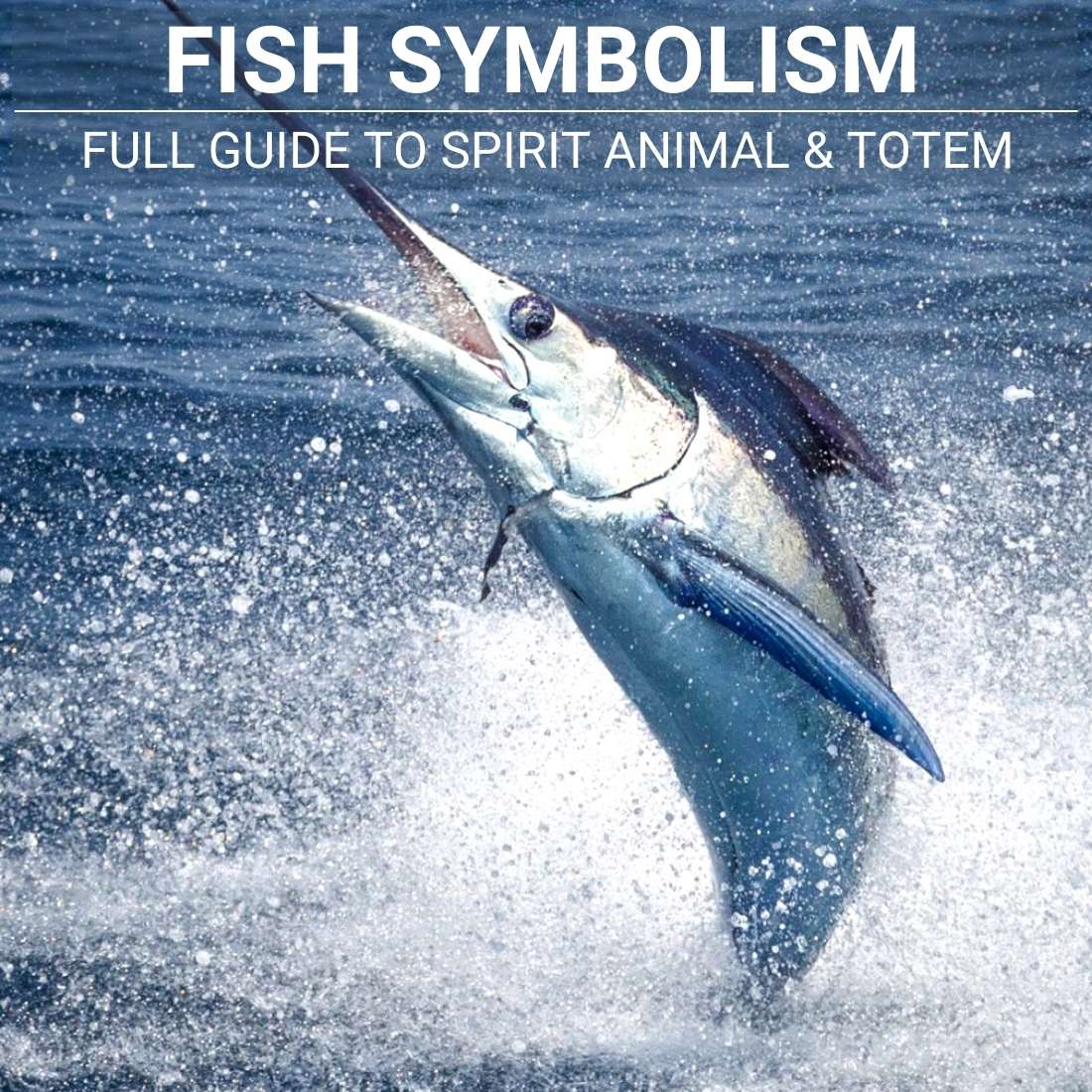 fish Symbolism