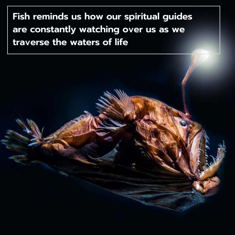 fish spiritual guides Fish Symbolism (+Animal Totem/Spirit Animal): What They Mean for You?