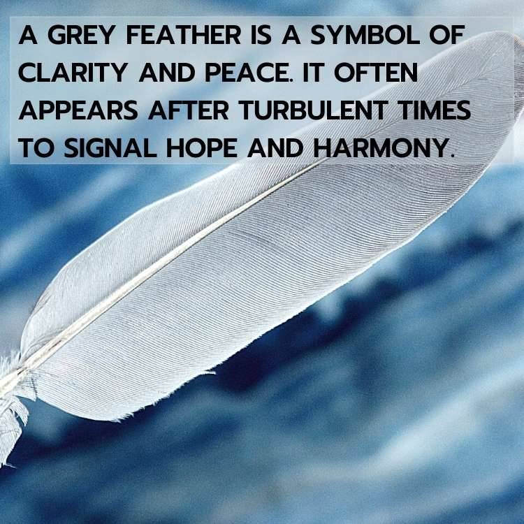 grey feather symbol peace