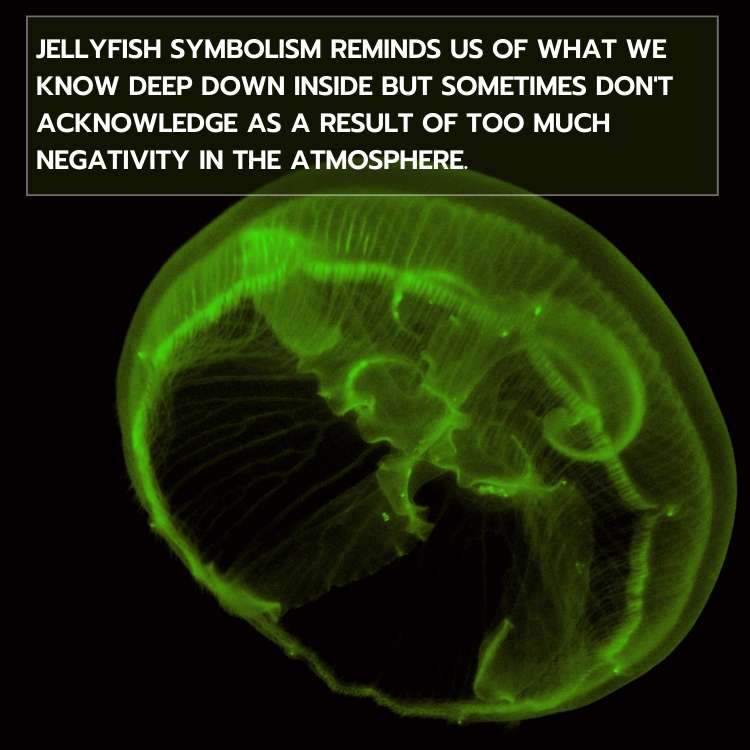 jellyfish symbolism saying