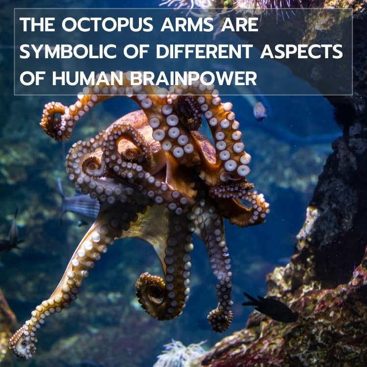 octopus symbolism saying