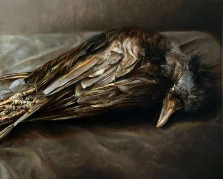 painting dead crow