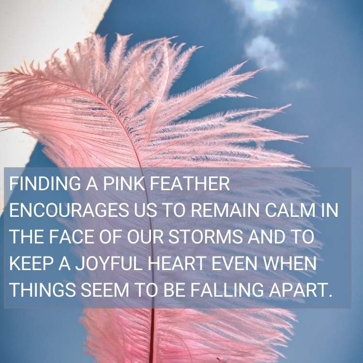 pink feather encourages us to remain calm