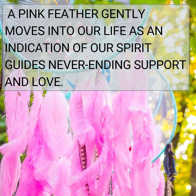 pink feather indication of support and love