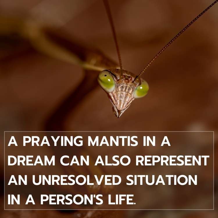praying mantis in dream