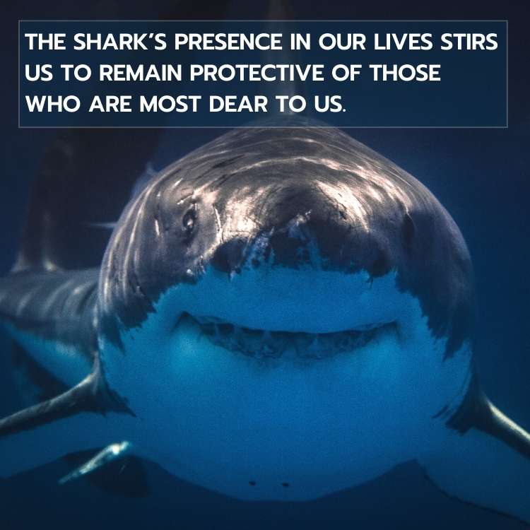 shark symbolism saying
