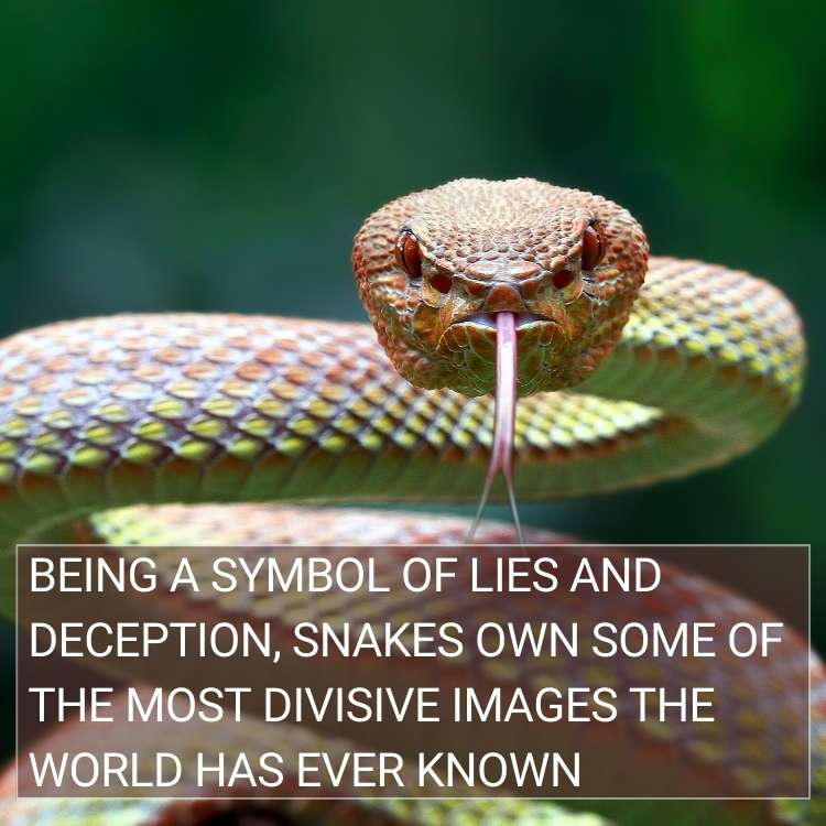 snake symbol of lies