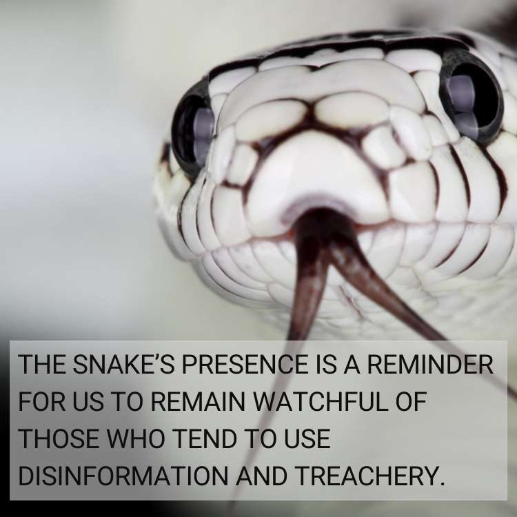 snake symbol watchful