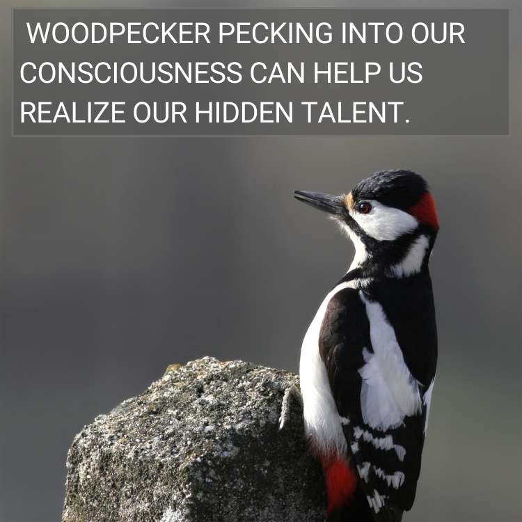  woodpecker realize our hidden talent