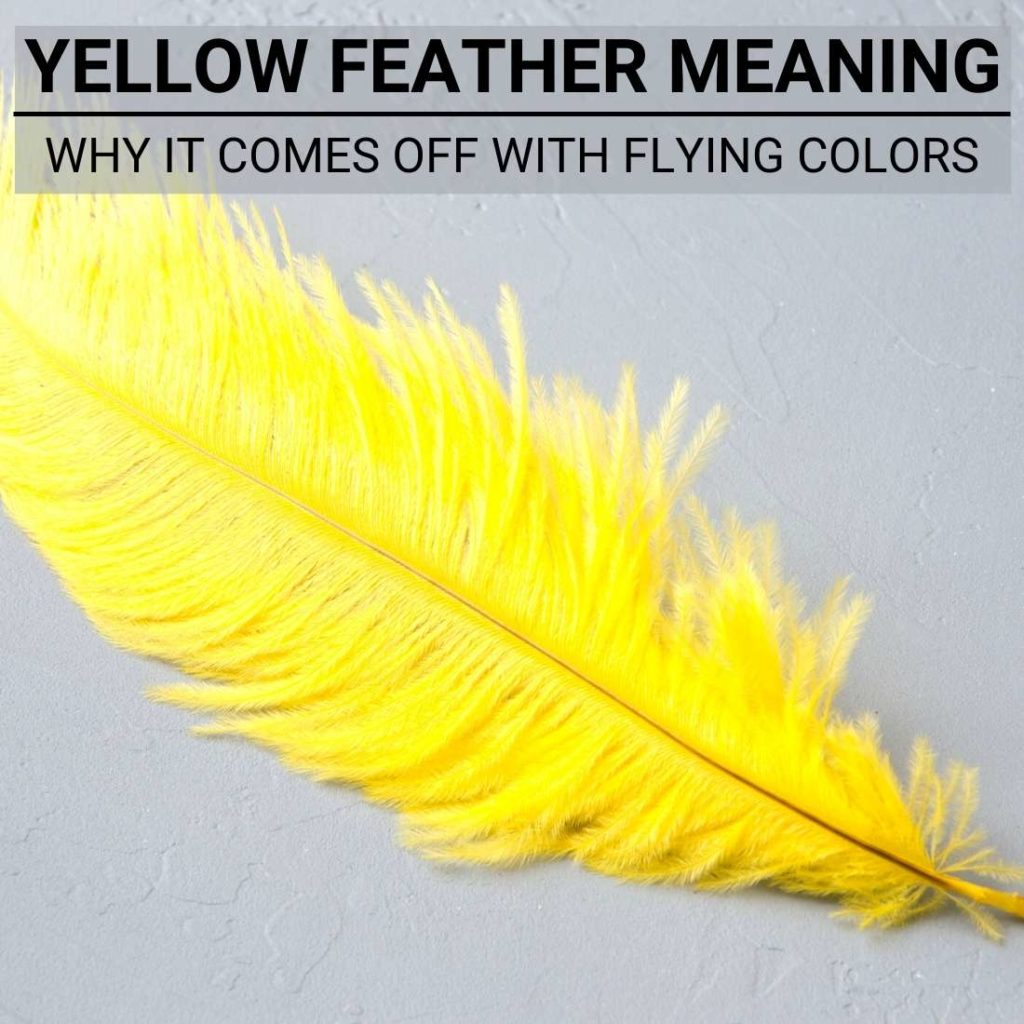 yellow feather meaning