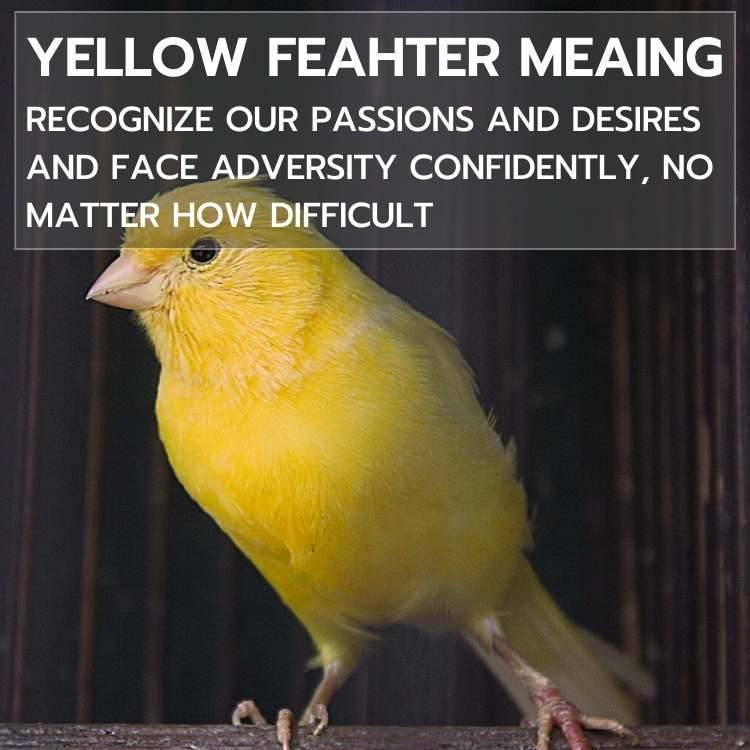 yellow feather meaning passion