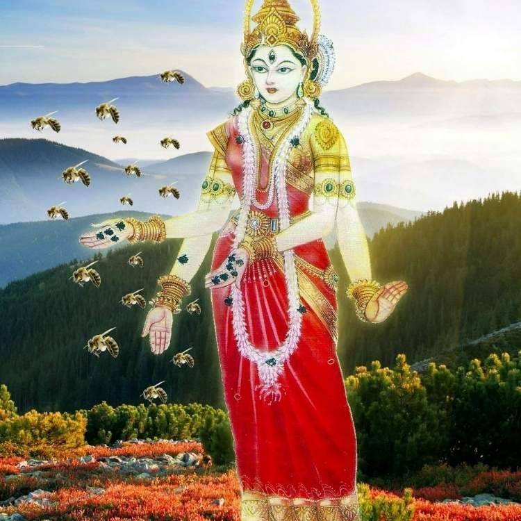 Bhramari hornets