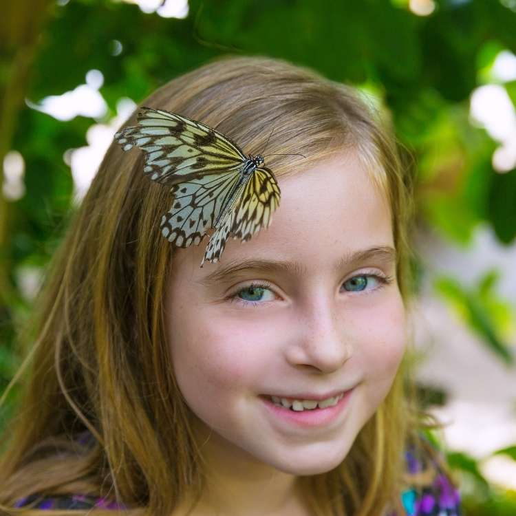 butterfly on head