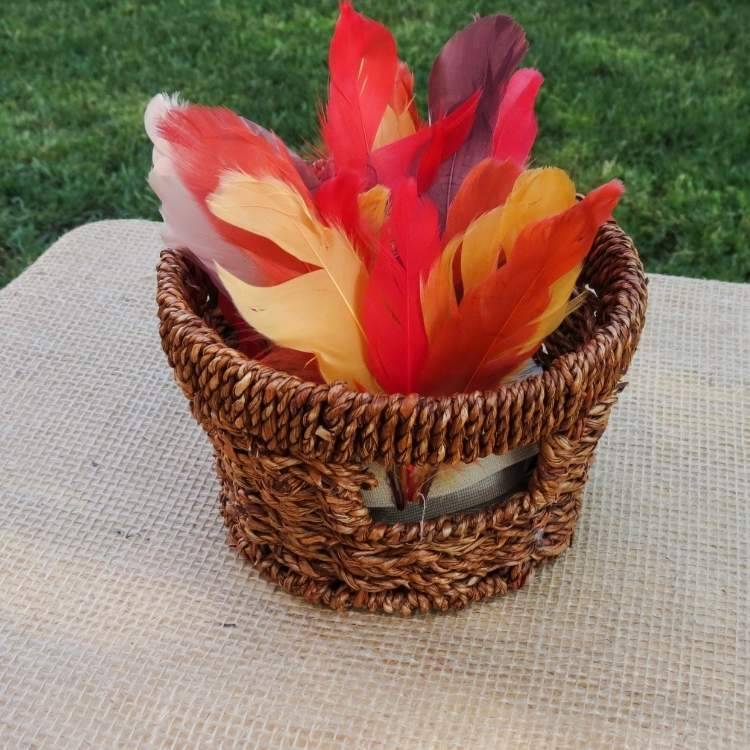 colorful feathers at home