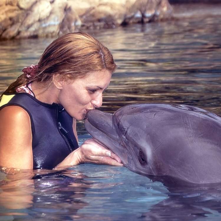 dolphin and human
