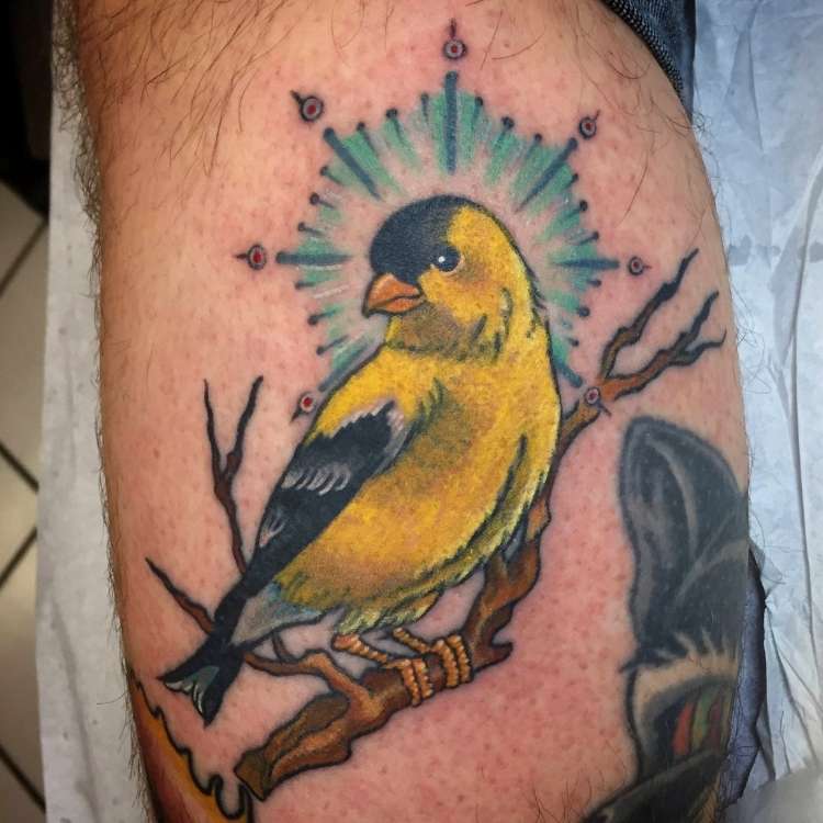 goldfinch tatoo