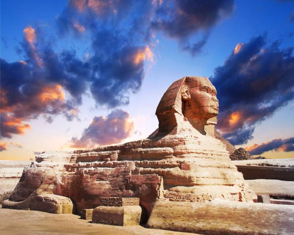 lioness Sphinx